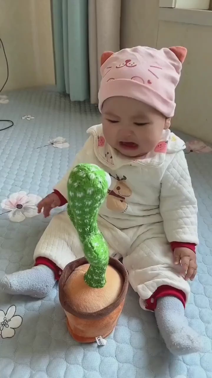 🌵🕺 The Viral Dancing Cactus